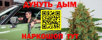 гидра Гай