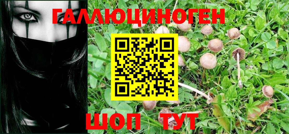 Галлюциногенные грибы Psilocybine cubensis  Вход с VPN  Мурманск 