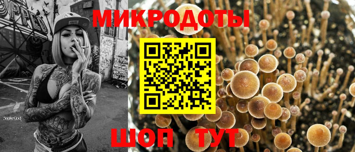 Псилоцибиновые грибы Cubensis Мурманск